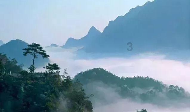 网上买菜怎么买更划算？游戏画面