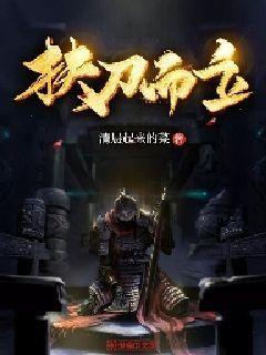 进击的飞机