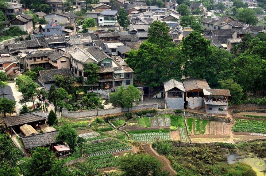 南阳医专一附院在第六届南阳市健康科普技能竞赛中获多个奖项